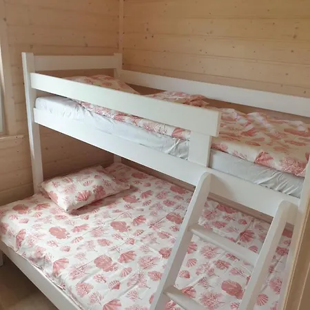 Orman Evi Szara Gaska W Gaskach *