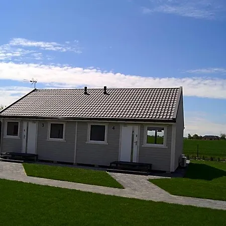 Szara Gaska W Gaskach Orman Evi Gąski