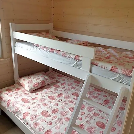 Szara Gaska W Gaskach Orman Evi Gąski